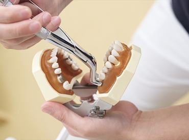 麻酔・抜歯処置